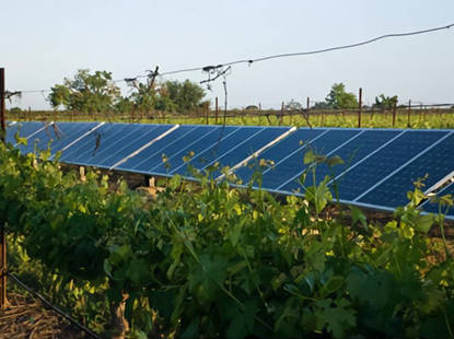 Solar for Wineries and Vineyards
